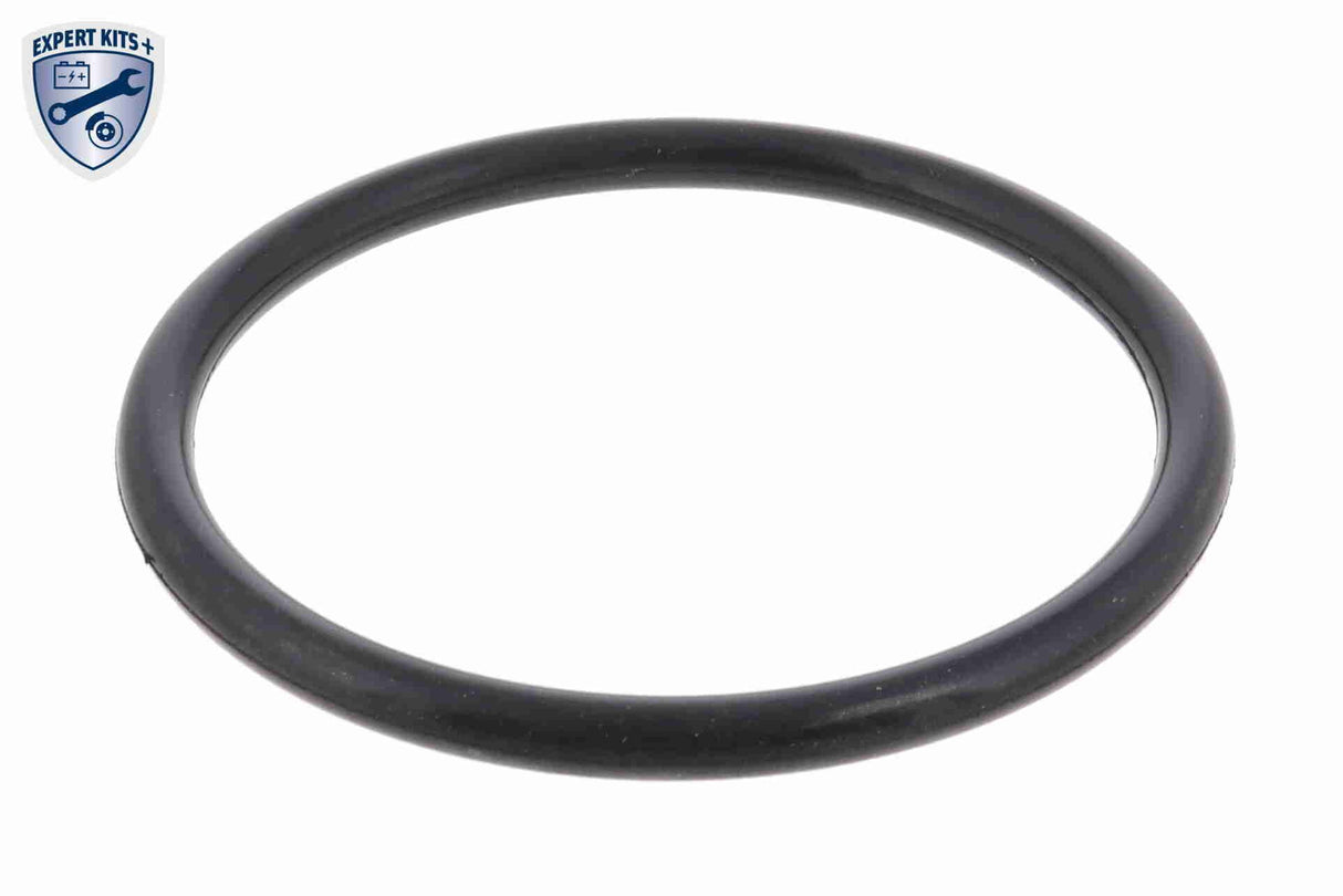 Thermostat, coolant - V15-99-1987-2