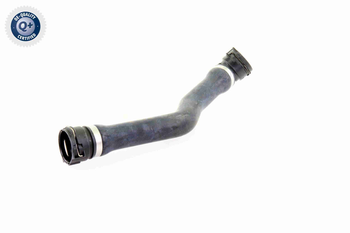 Radiator Hose - V20-1763