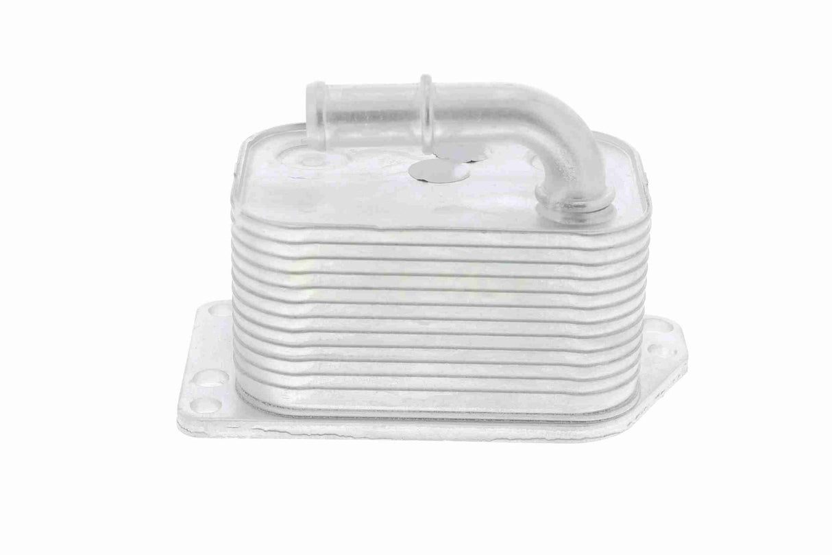 Oil Cooler, engine oil - V42-60-0005