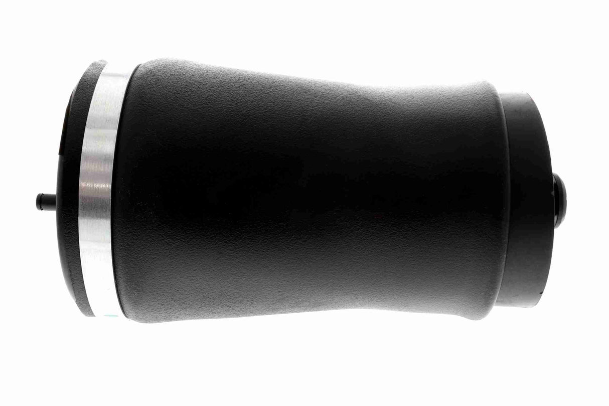 Air Suspension Strut - V20-50-0001-1