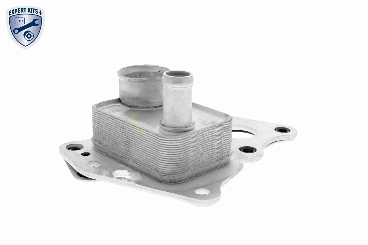 Oil Cooler, engine oil - V30-60-0008