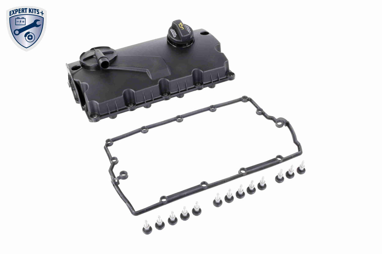 Cylinder Head Cover - V10-7405