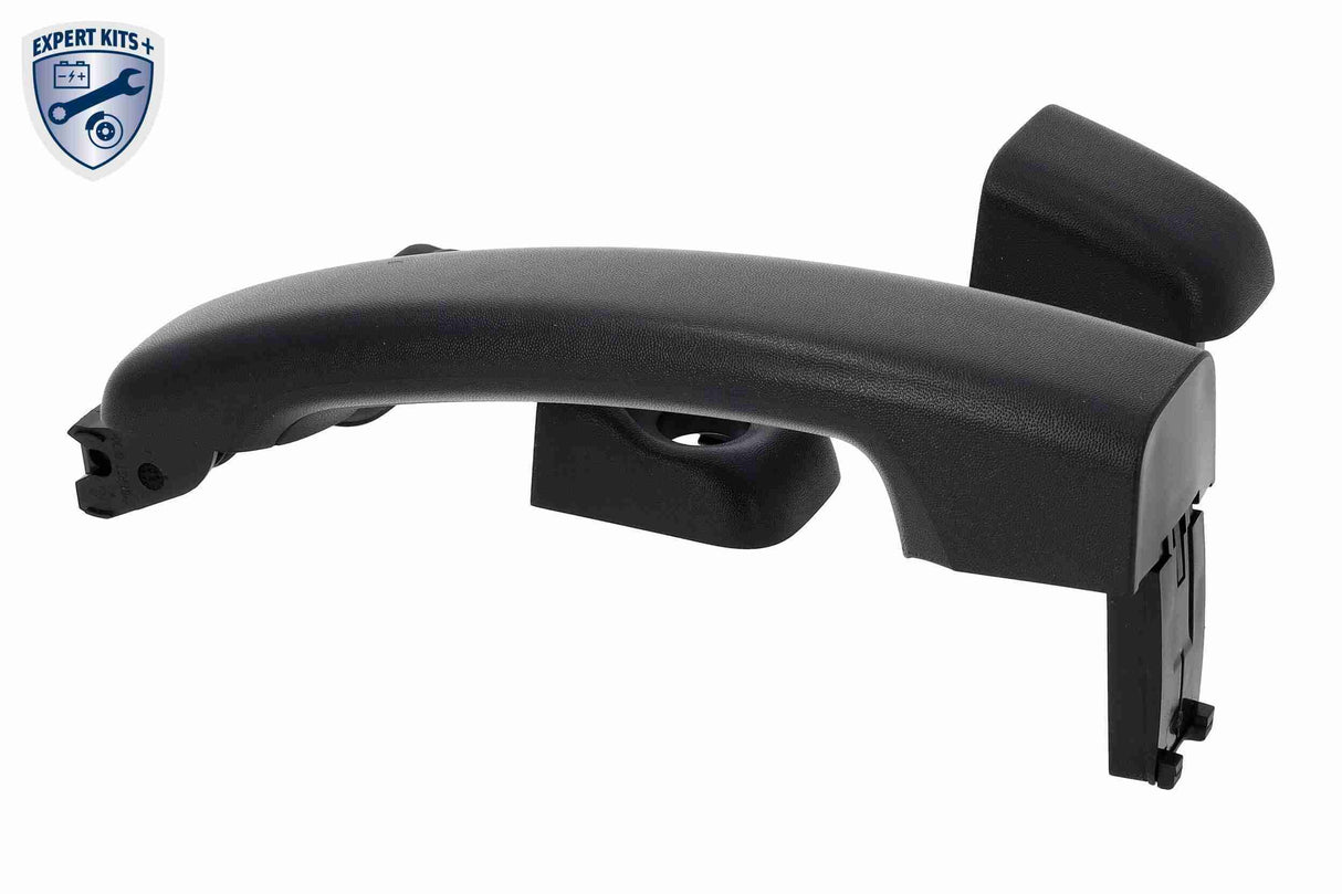 Exterior Door Handle - V46-1599
