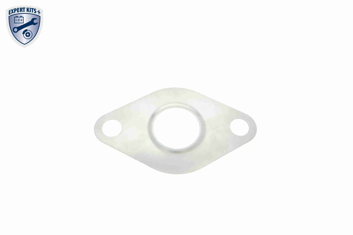 Valve, exhaust gas recirculation - V10-63-0026