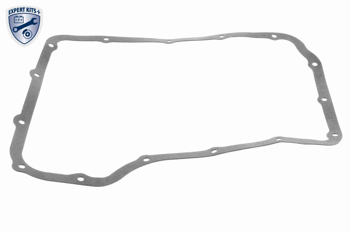 Parts Kit, automatic transmission oil change - V33-0525-XXL