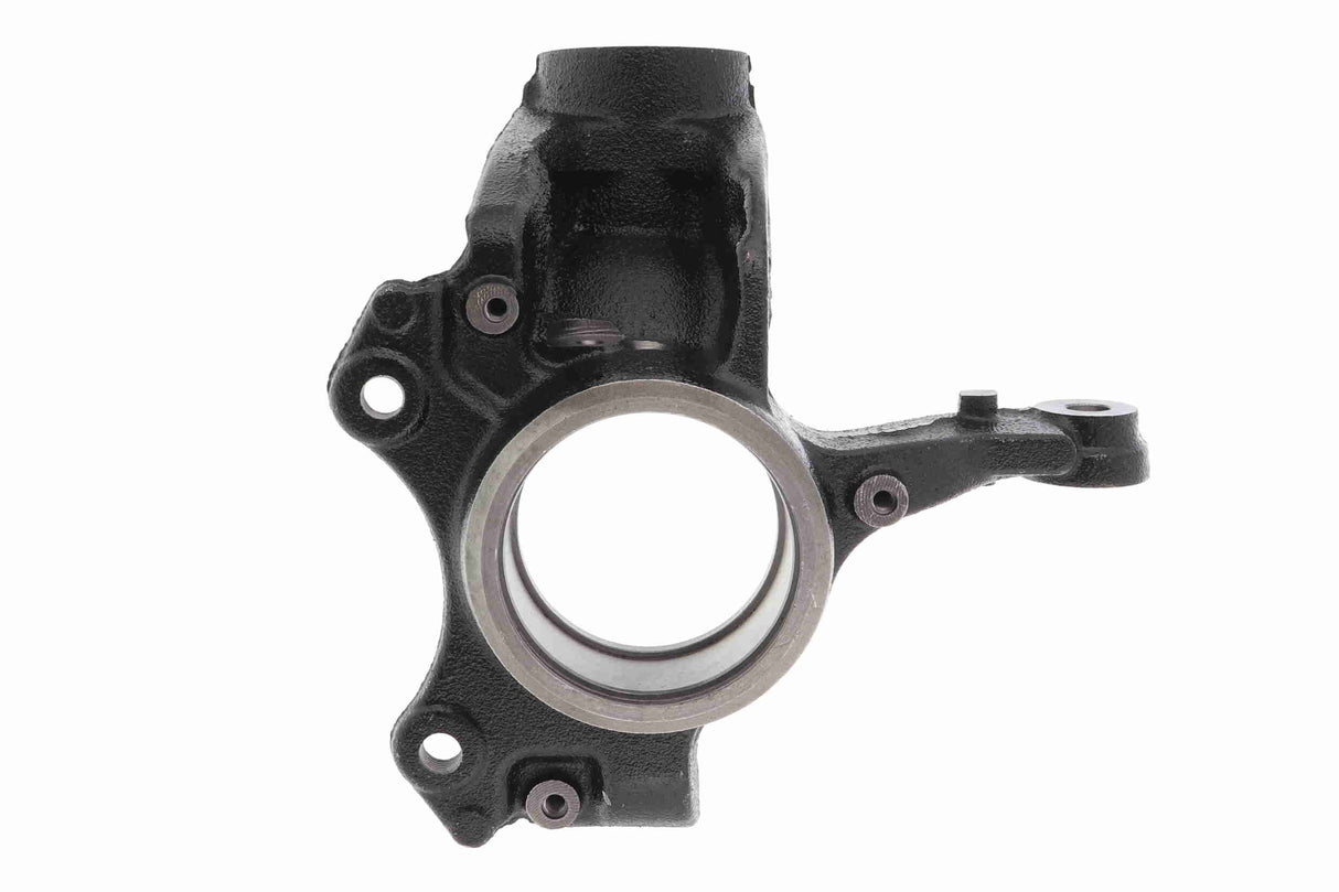 Steering Knuckle, wheel suspension - V10-1830