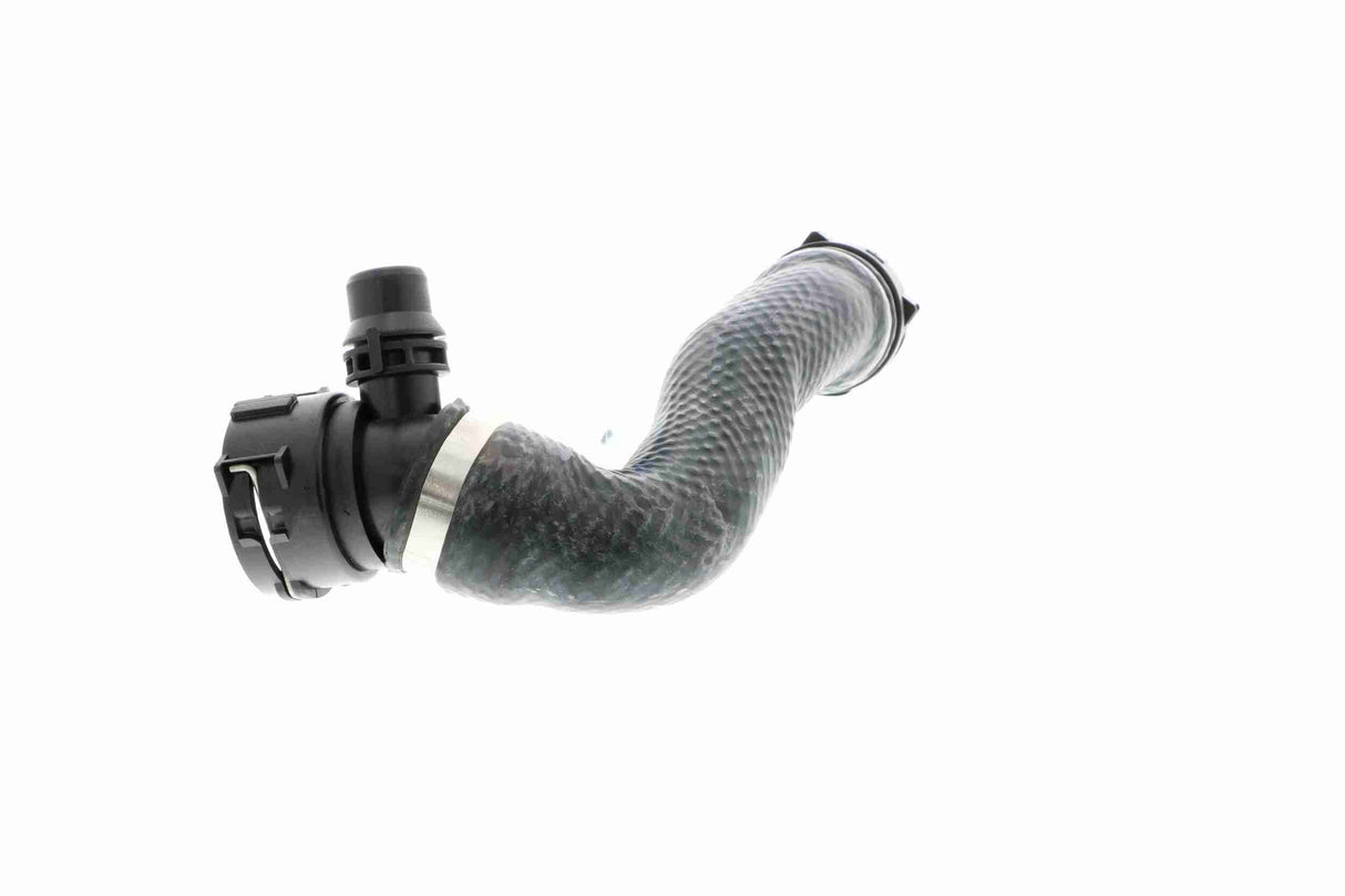 Radiator Hose - V20-2384