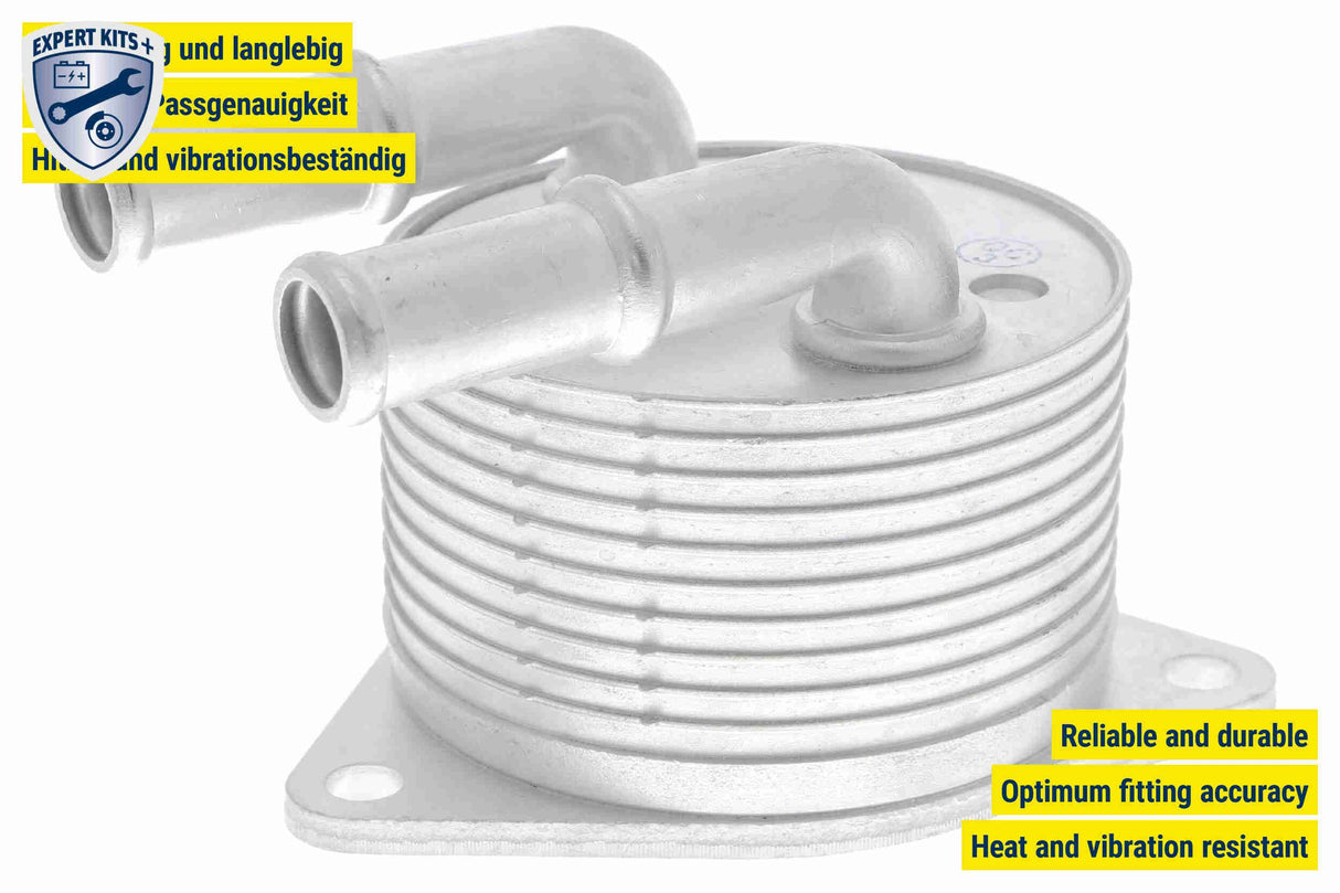 Oil Cooler, automatic transmission - V42-60-0012