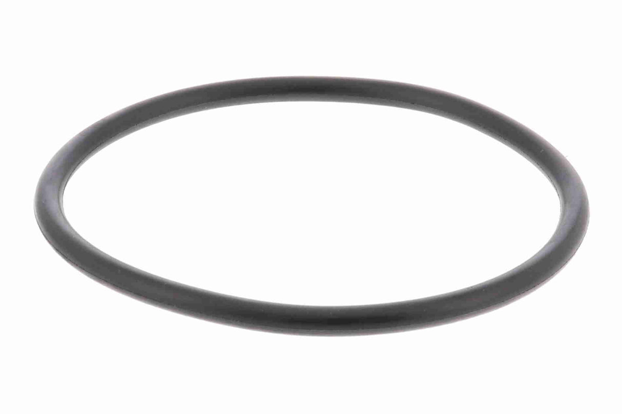 Water Pump, engine cooling - V10-50056