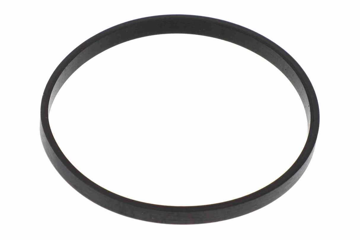 Gasket, throttle body - V20-81-0044