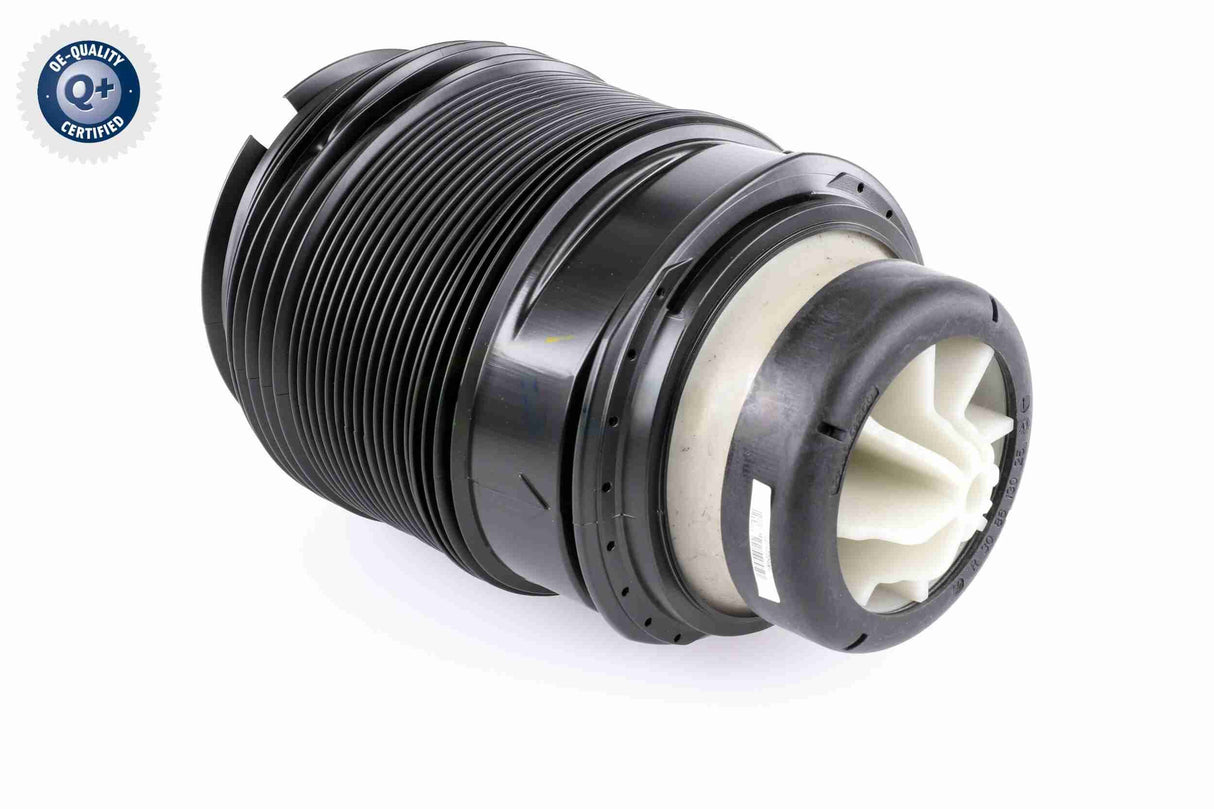 Air Suspension Strut - V30-50-0005
