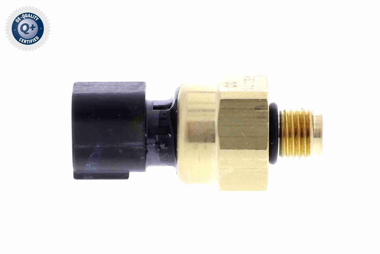 Oil Pressure Switch - V25-73-0131