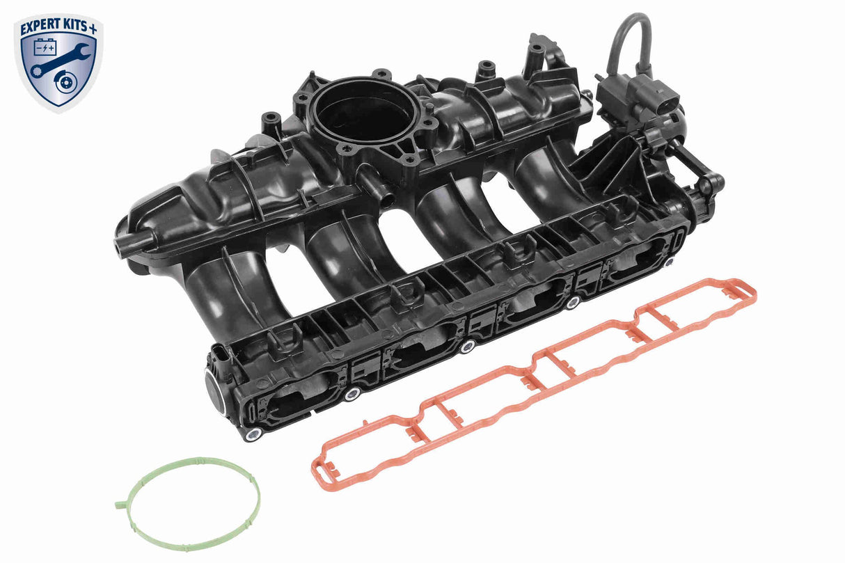 Intake Manifold Module - V10-6770