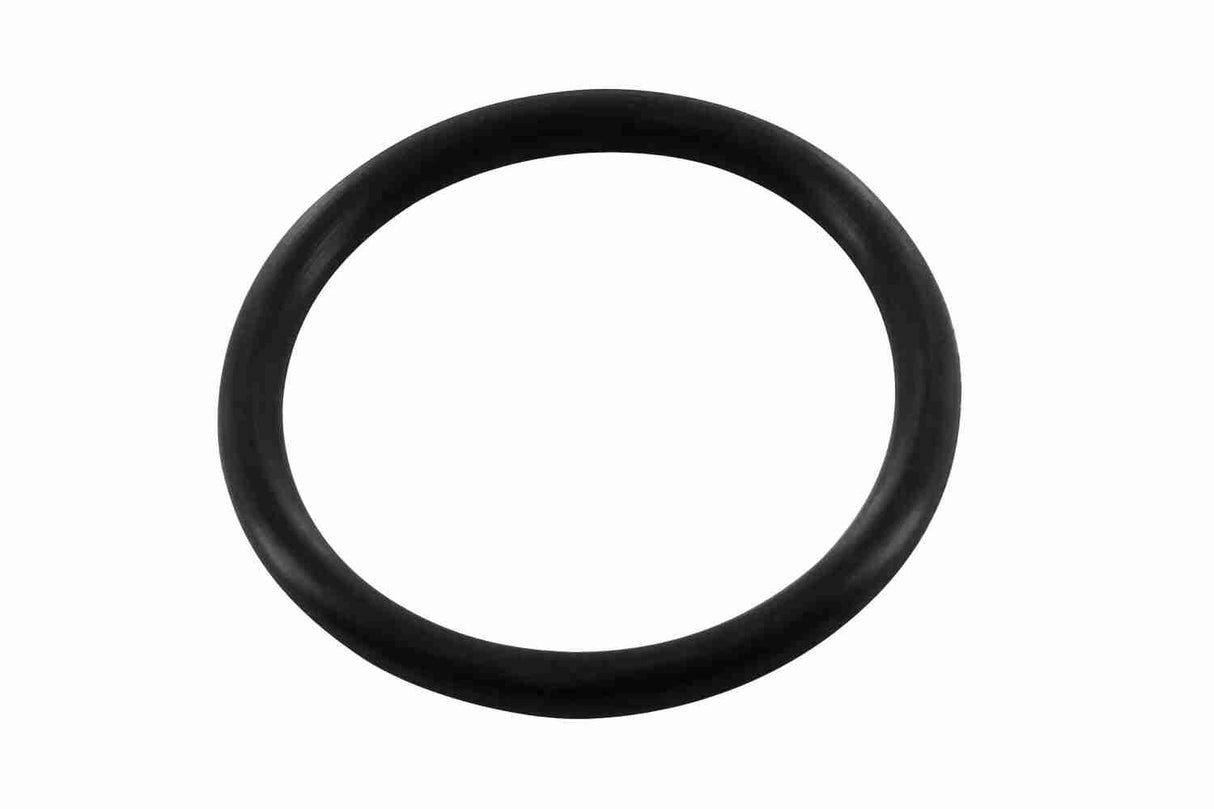 Oil Sump - V40-1019