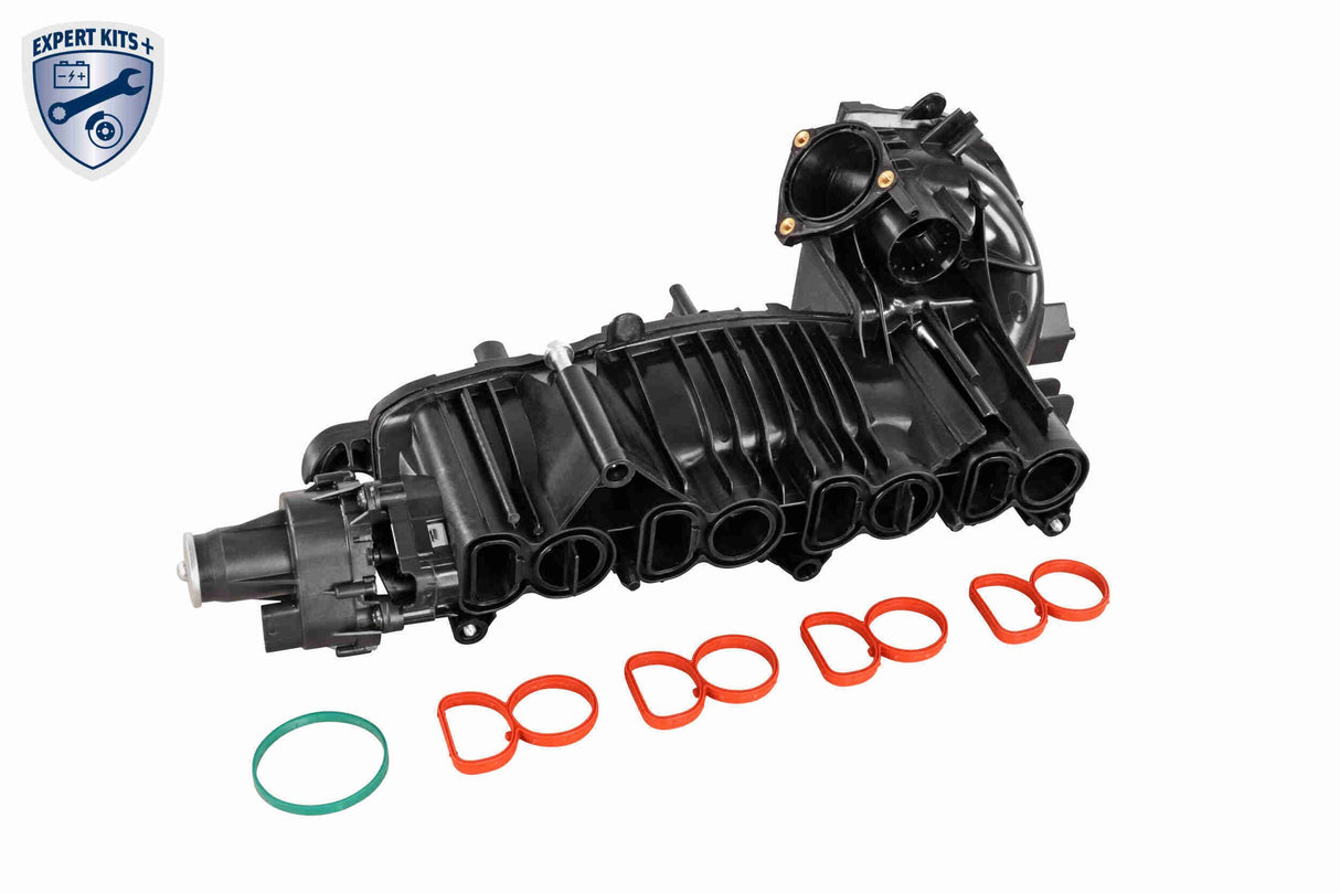 Intake Manifold Module - V20-2175