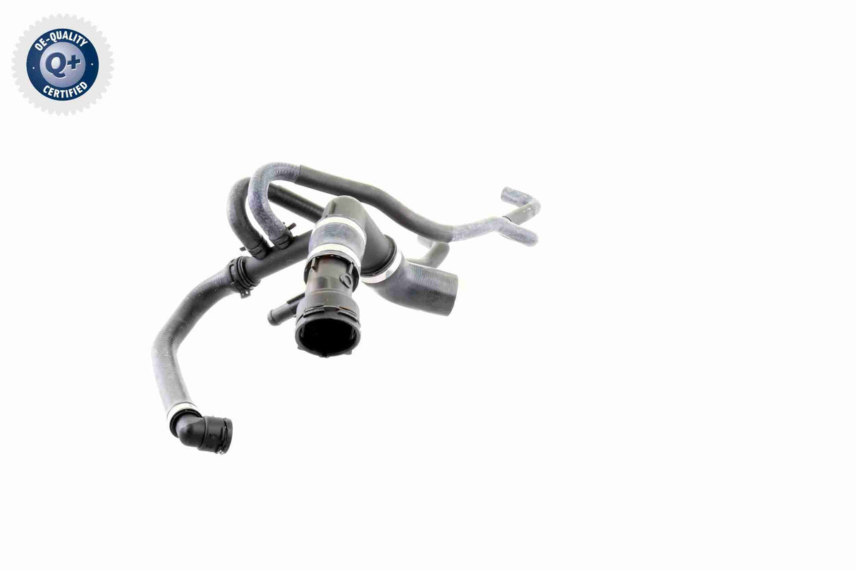 Radiator Hose - V48-0153