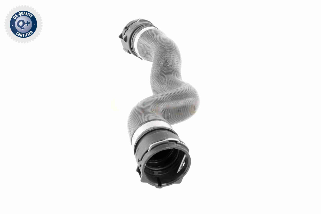 Radiator Hose - V48-0452