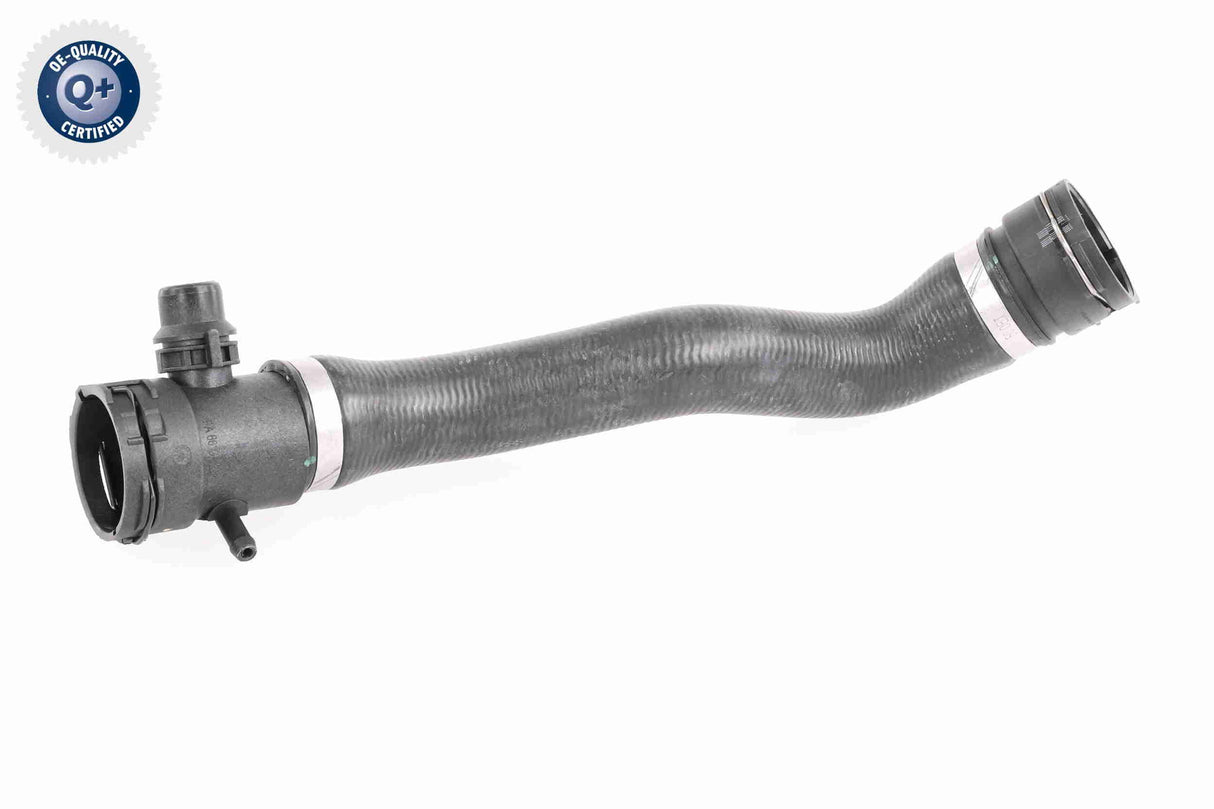 Radiator Hose - V20-3042