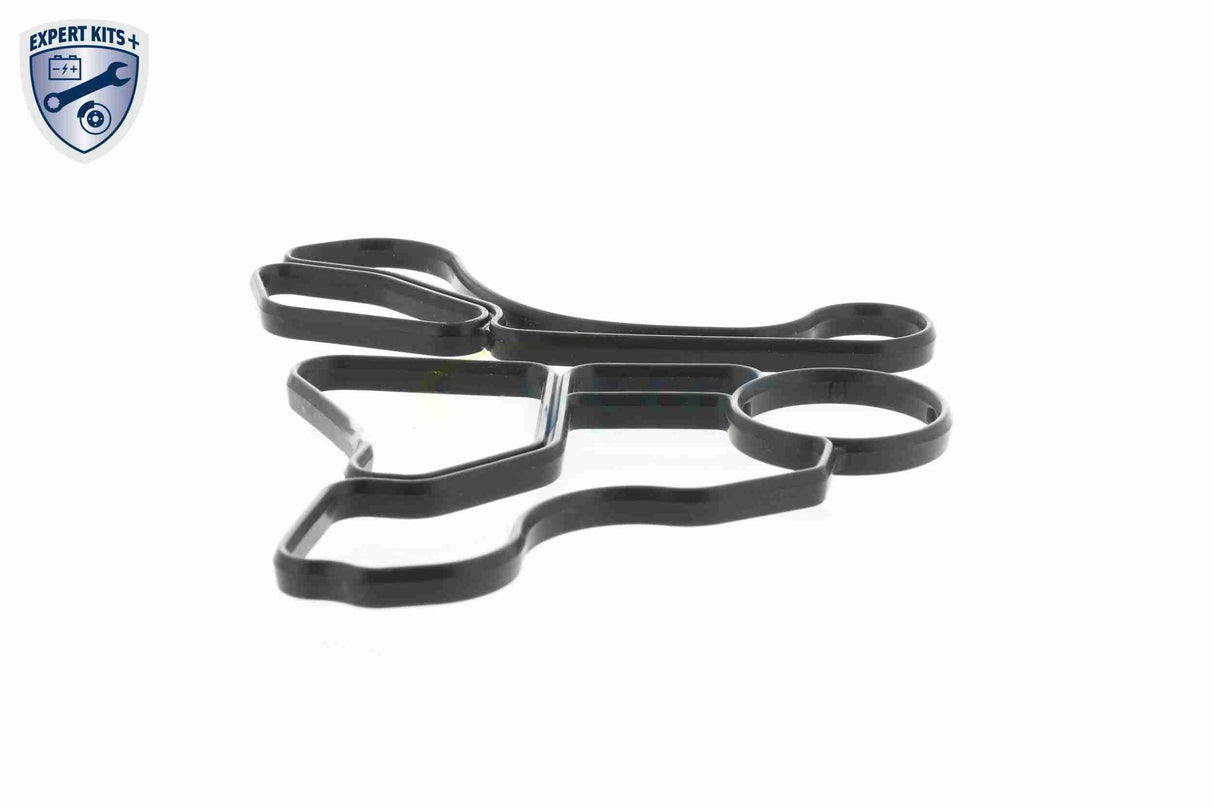 Gasket Set, oil cooler - V20-60-9045