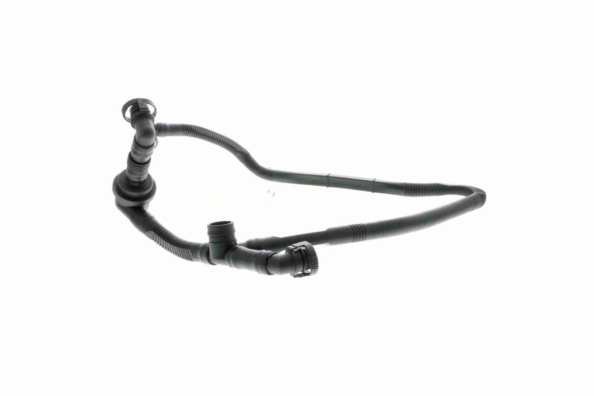 Hose, crankcase ventilation - V10-2677