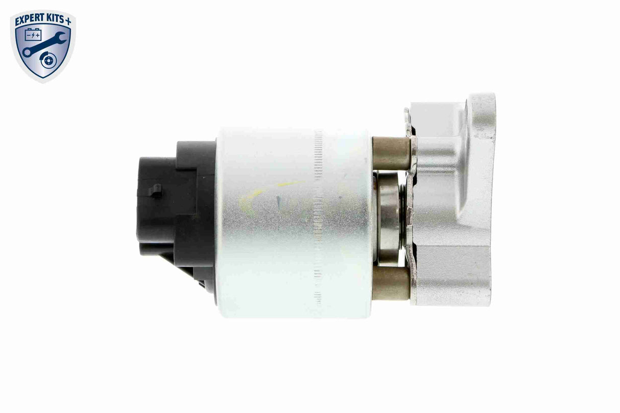 Valve, exhaust gas recirculation - V40-63-0001