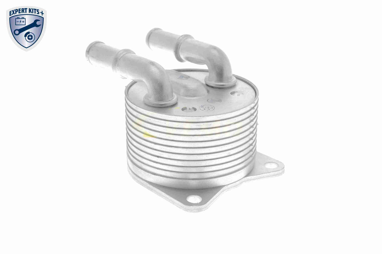 Oil Cooler, automatic transmission - V42-60-0012