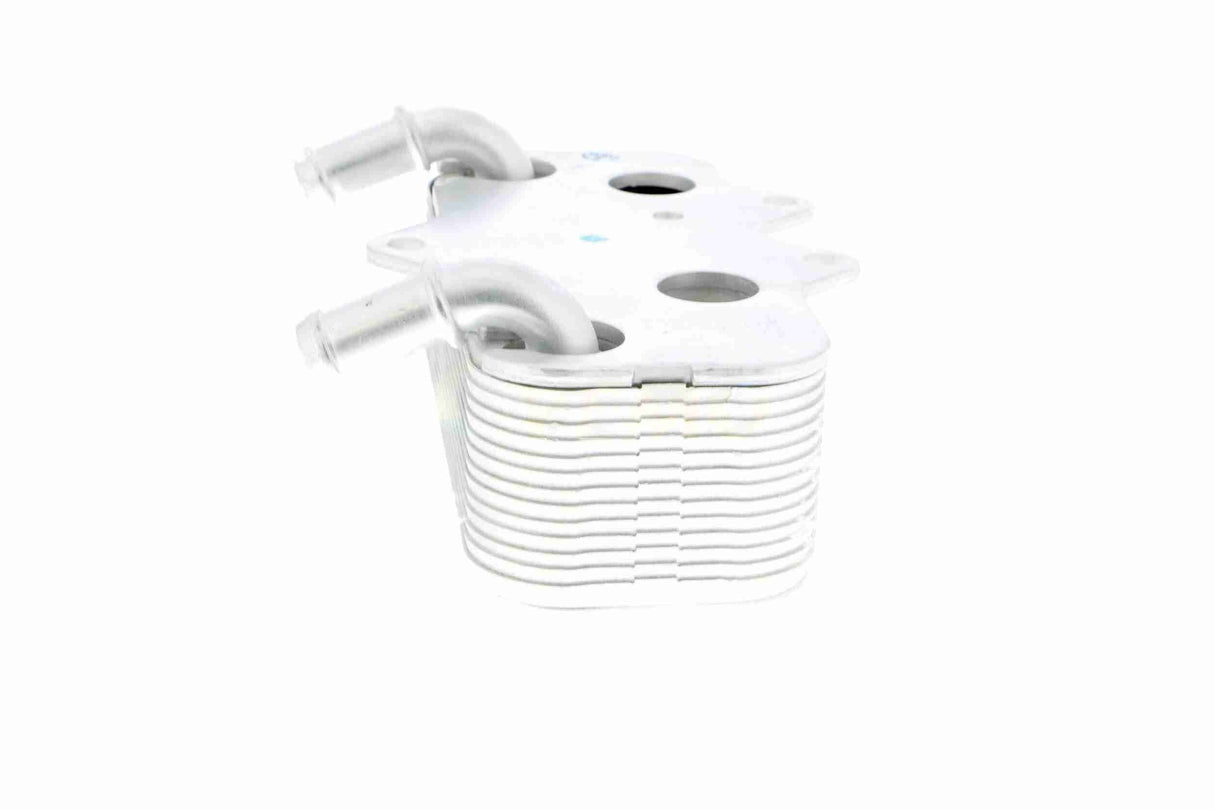 Oil Cooler, engine oil - V40-60-2096