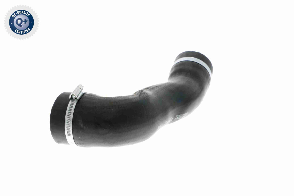 Charge Air Hose - V10-3805