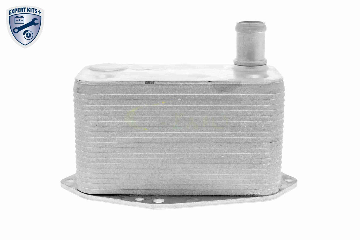 Oil Cooler, engine oil - V20-60-0057