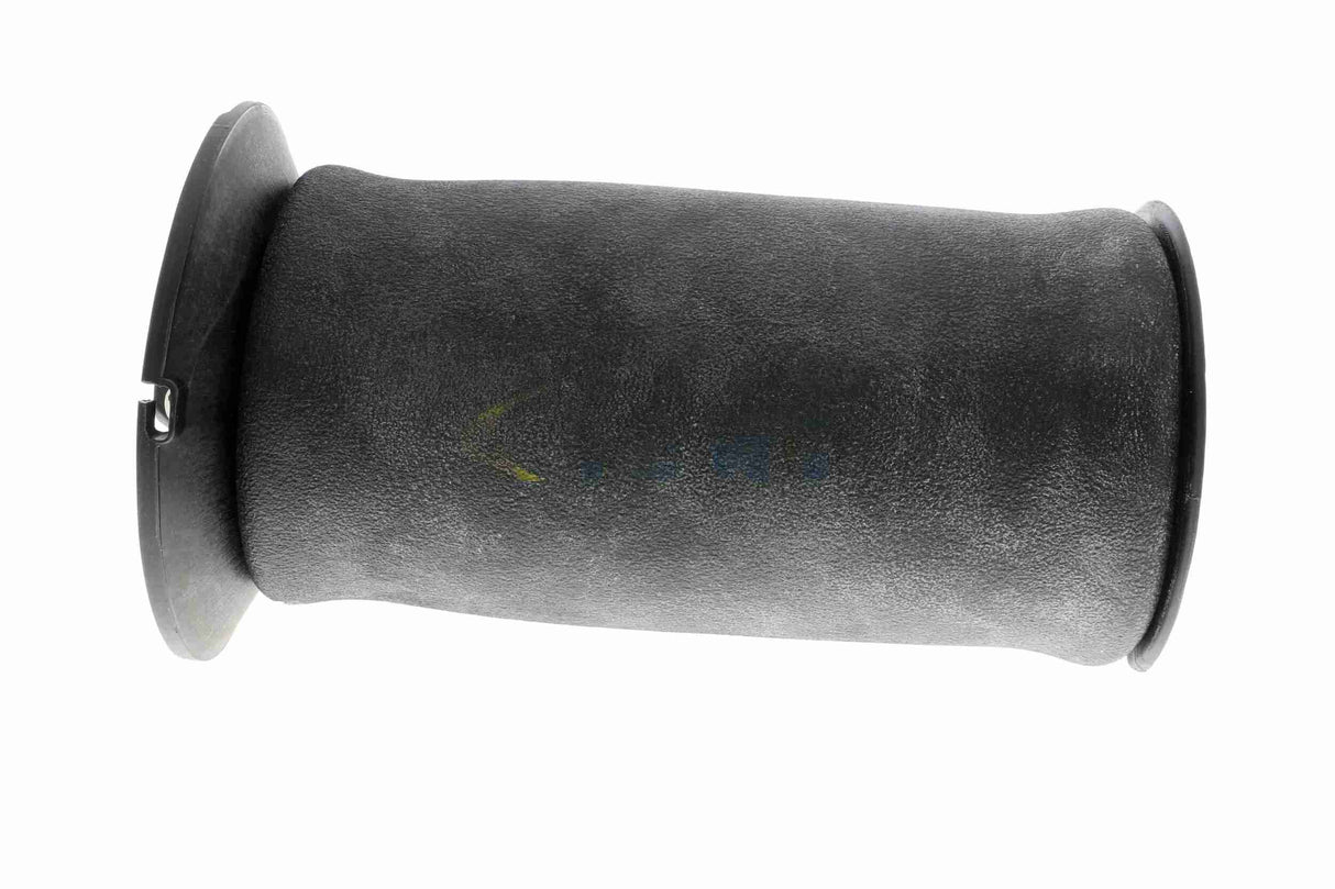 Air Suspension Strut - V20-50-0022-1