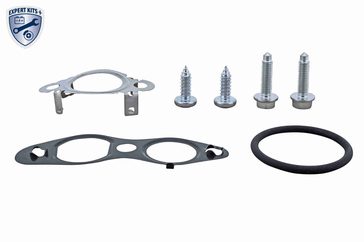 Gasket Set, EGR system - V25-63-9031