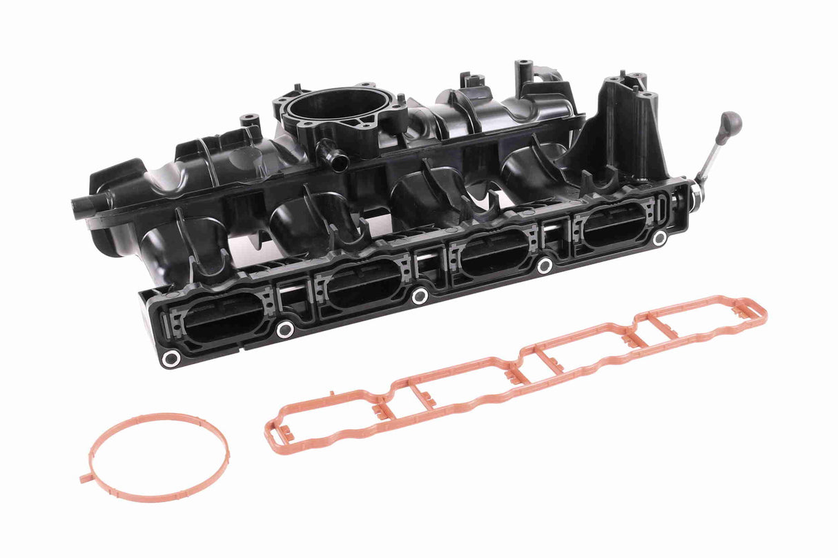 Intake Manifold Module - V10-5797
