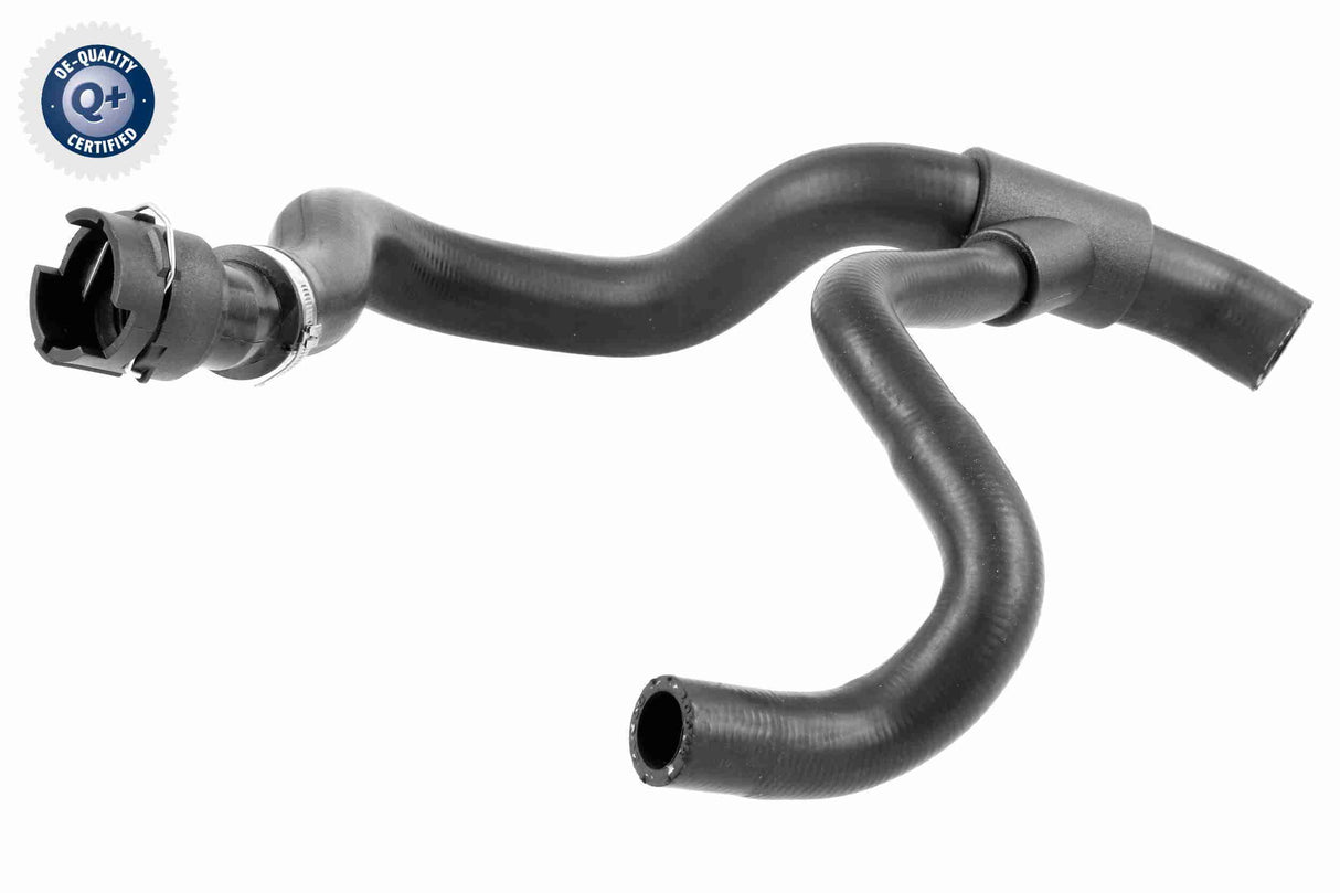 Radiator Hose - V25-1504