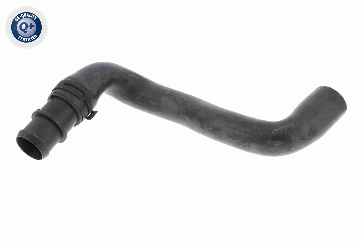 Radiator Hose - V20-2462
