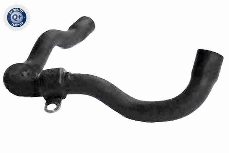 Radiator Hose - V25-2297