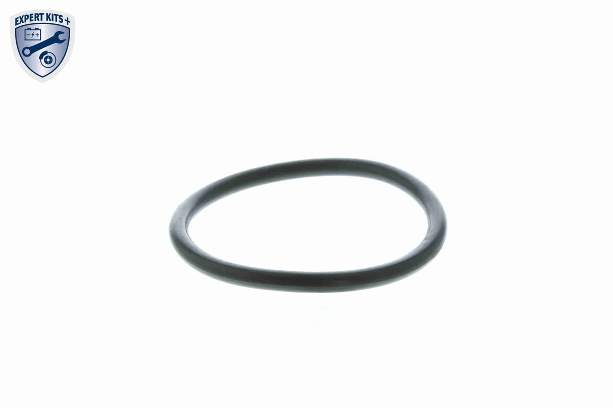 Thermostat, coolant - V15-99-2056