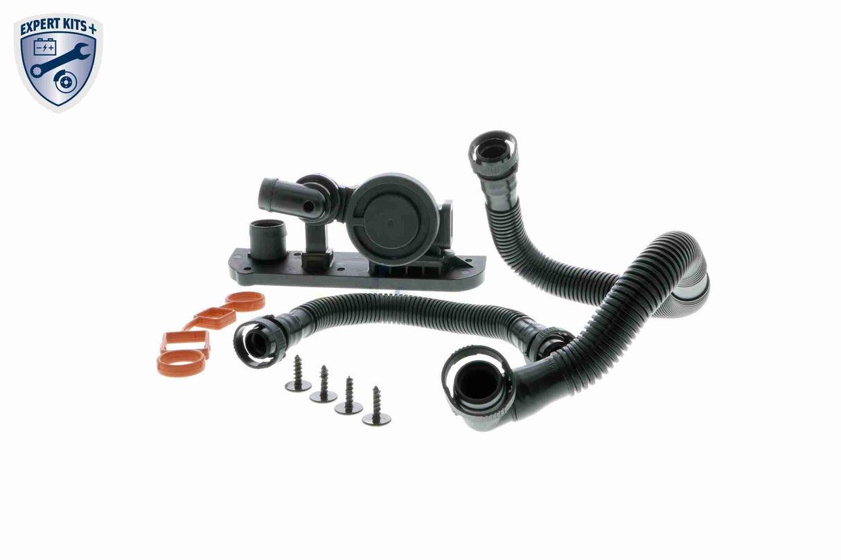 Repair Kit, crankcase ventilation - V10-3246