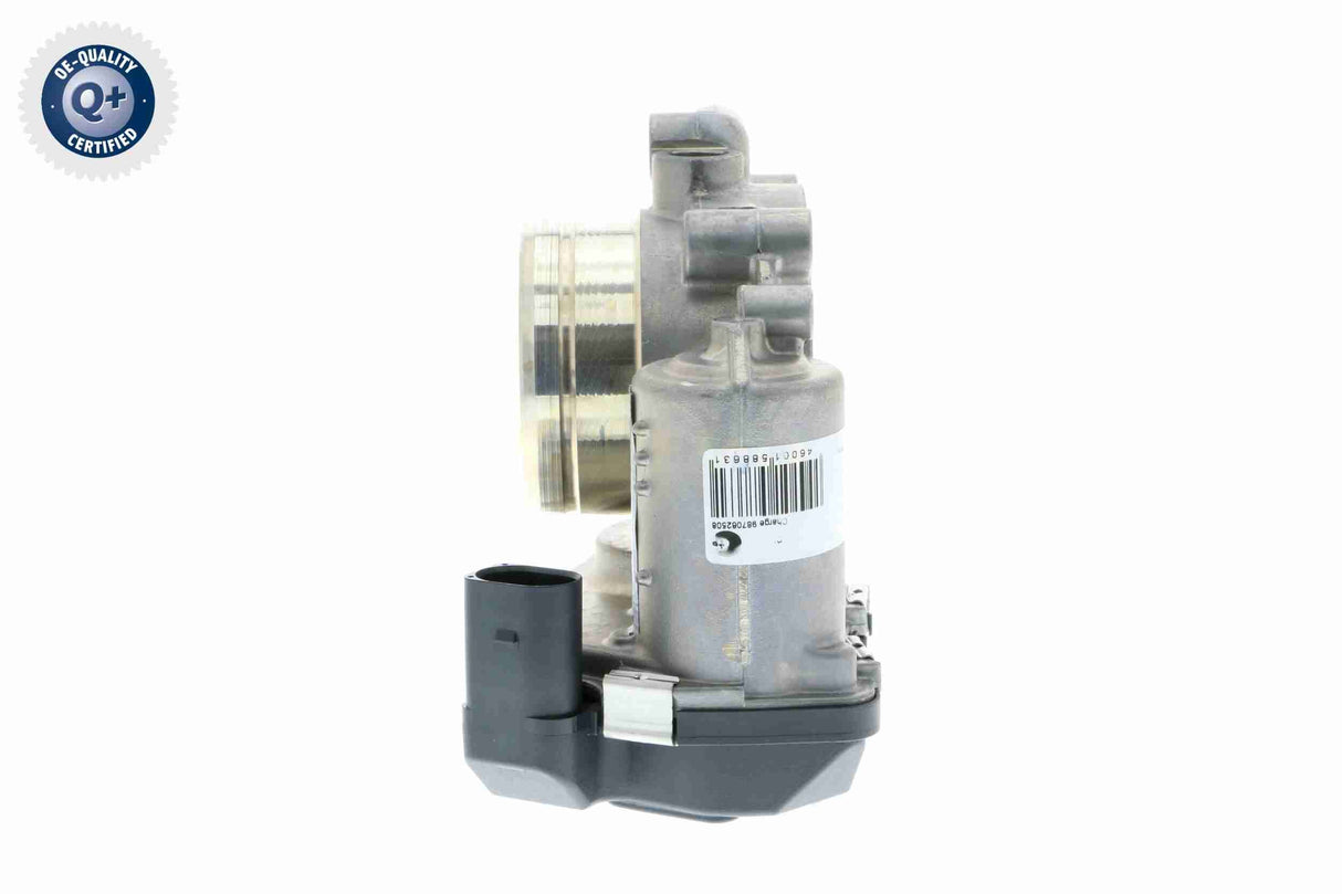 Throttle Body - V10-81-0043