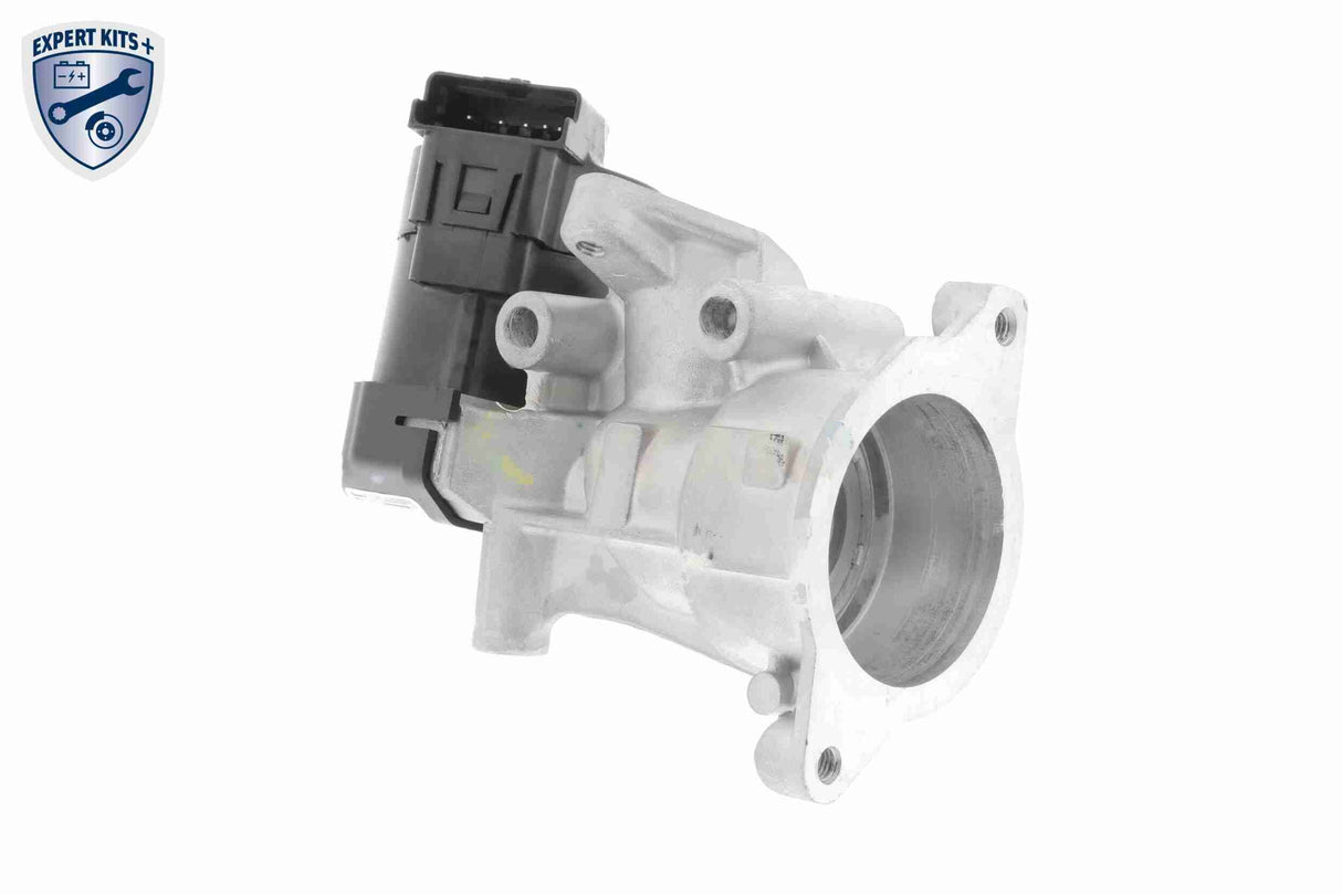 Valve, exhaust gas recirculation - V25-63-0010