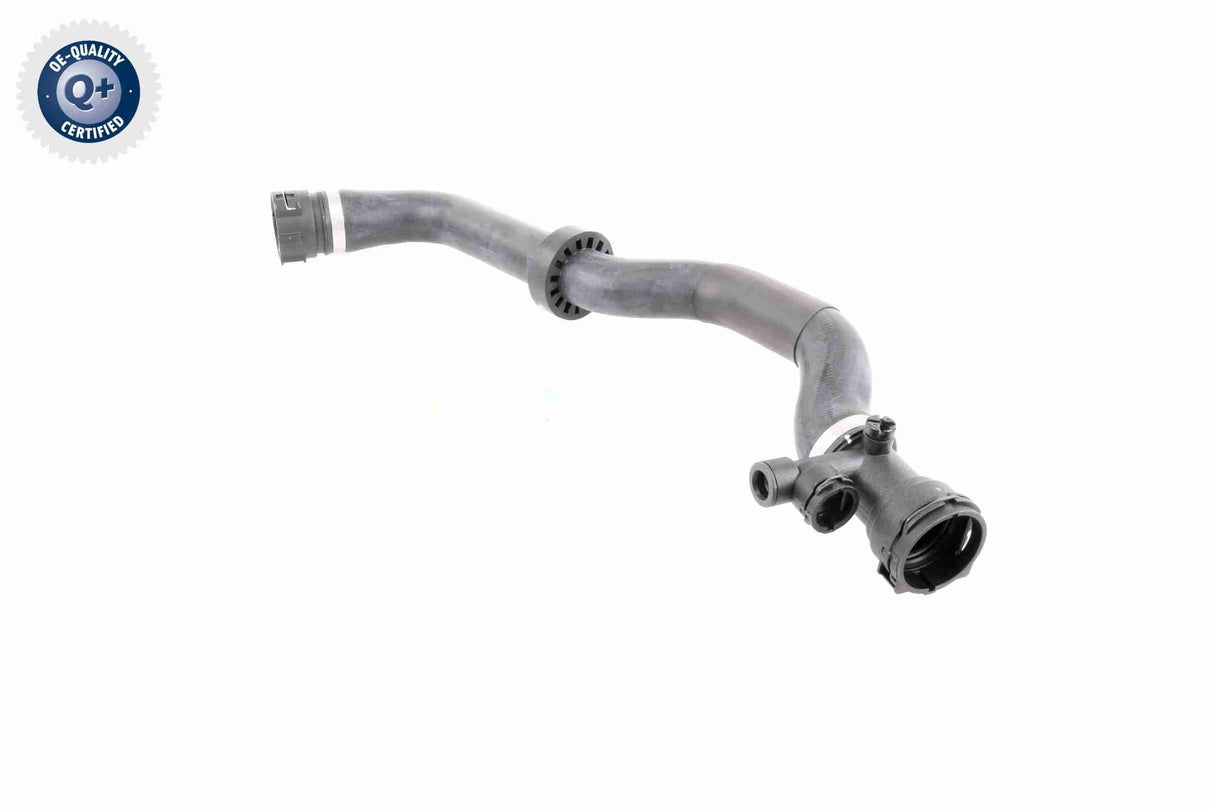 Radiator Hose - V20-1777