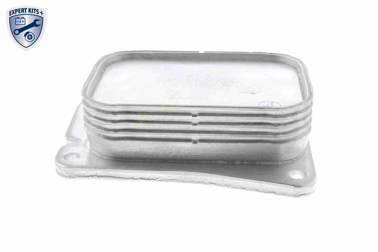 Oil Cooler, engine oil - V30-60-1313