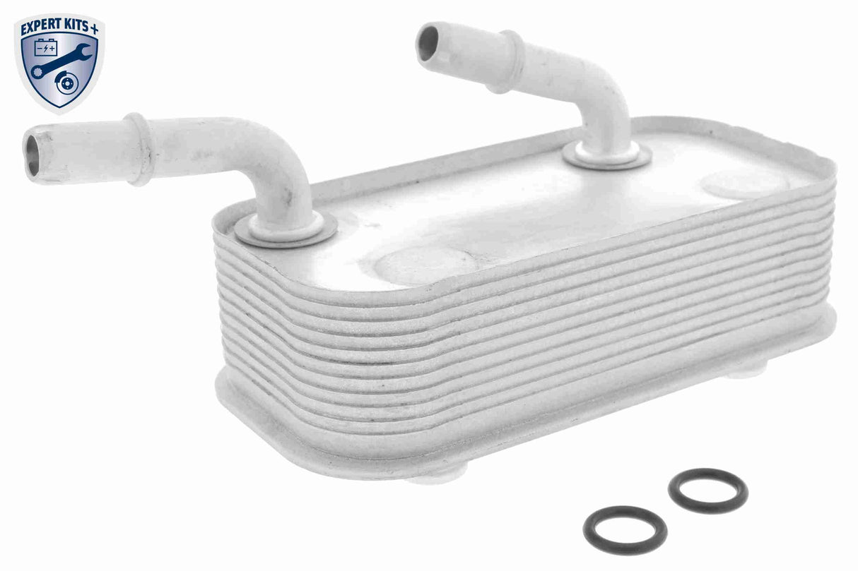 Oil Cooler, engine oil - V20-60-0002