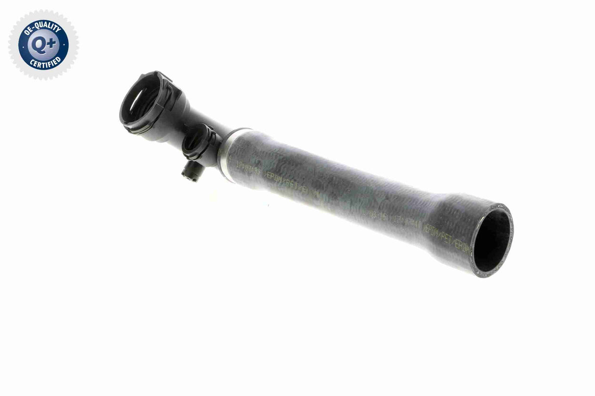 Radiator Hose - V20-1925
