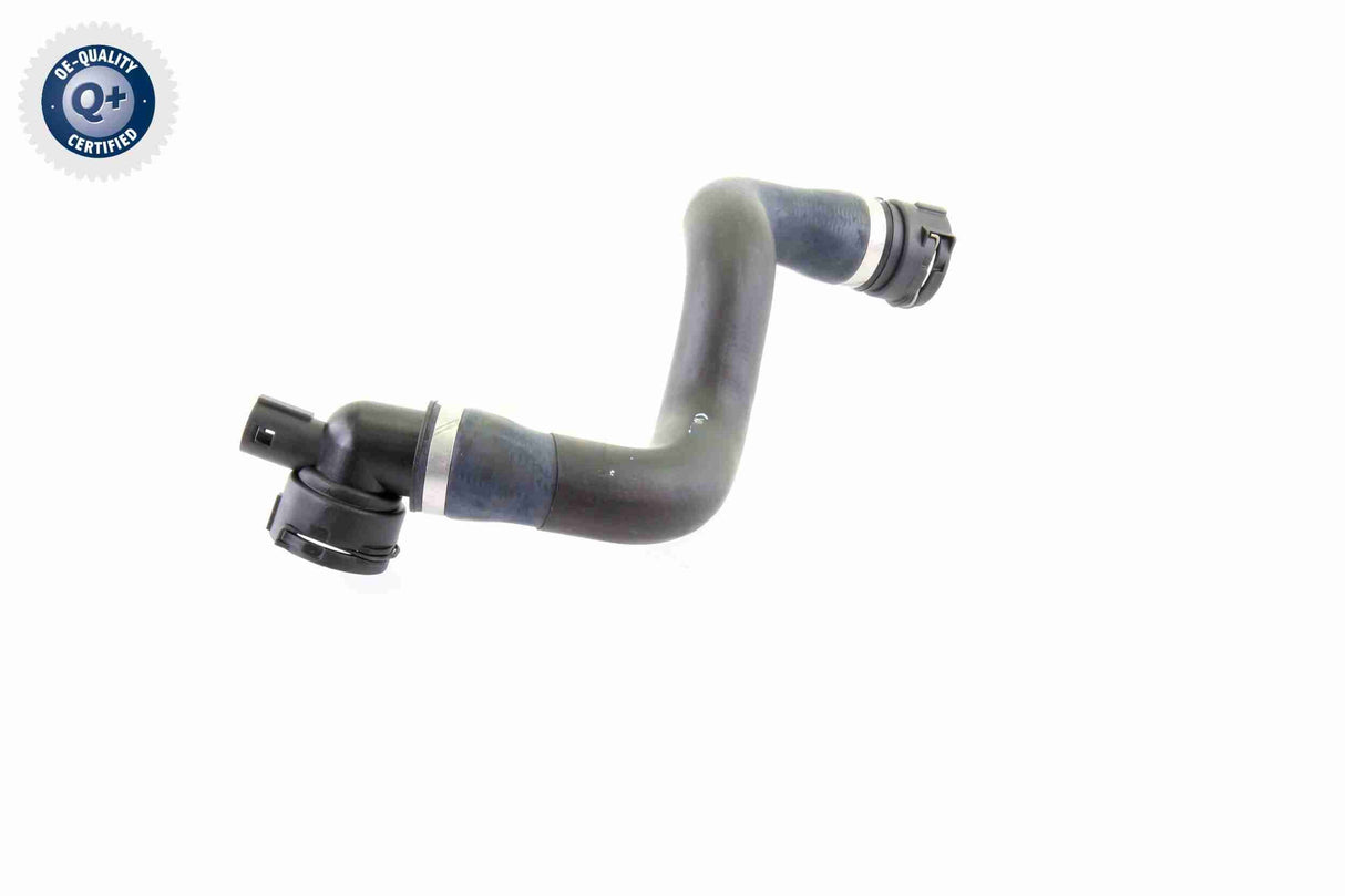 Radiator Hose - V20-1764