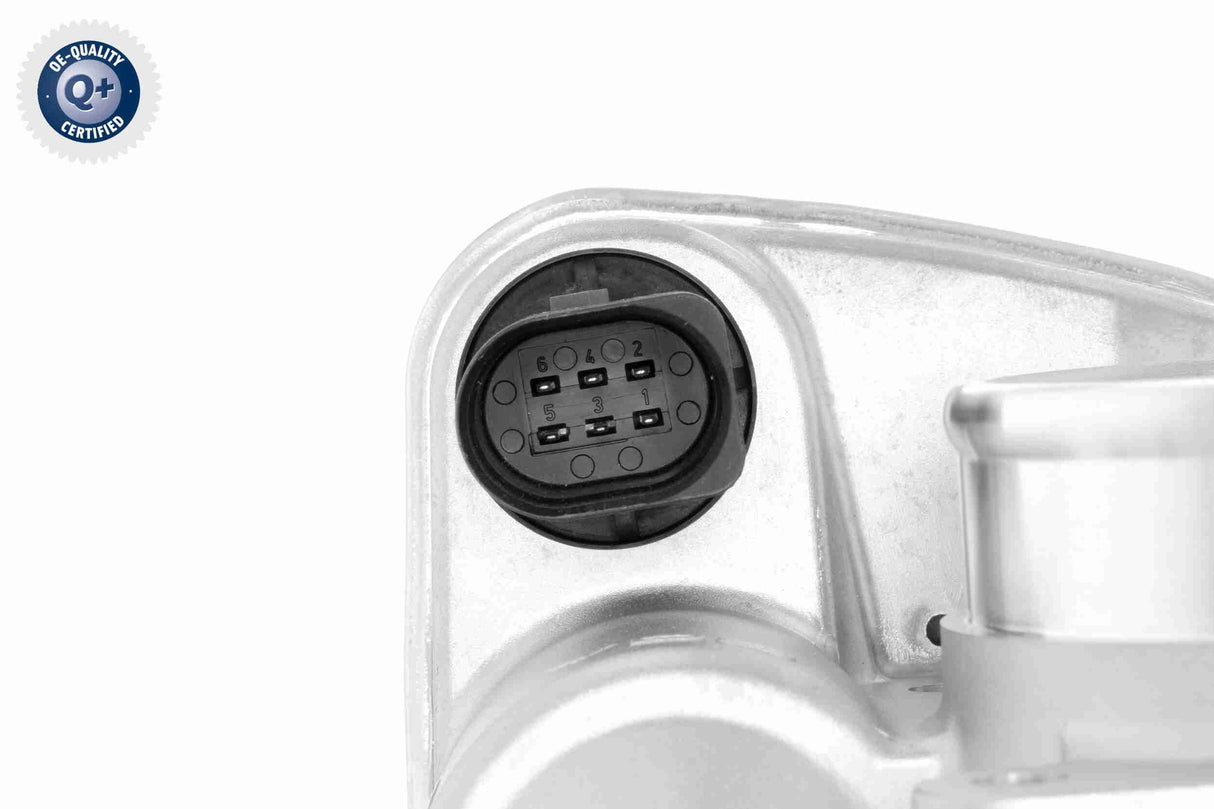 Throttle Body - V20-81-0020