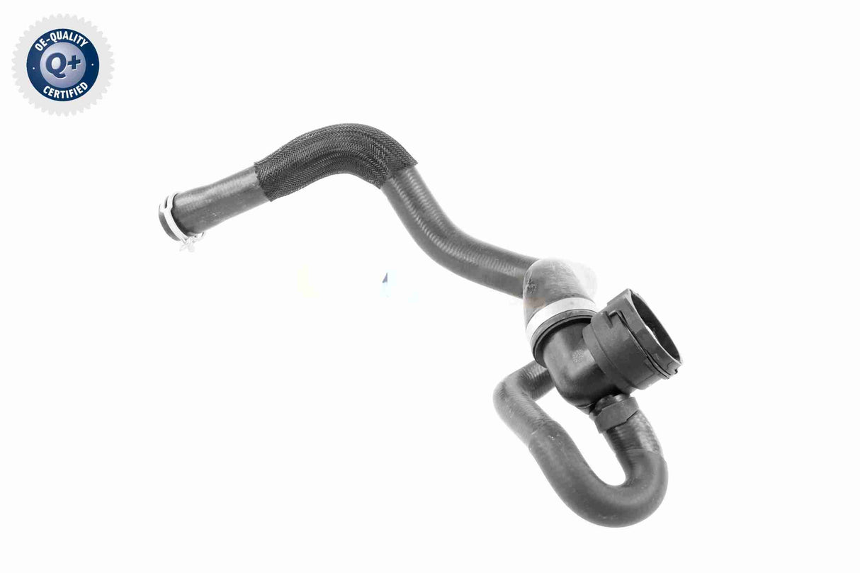 Radiator Hose - V25-1164