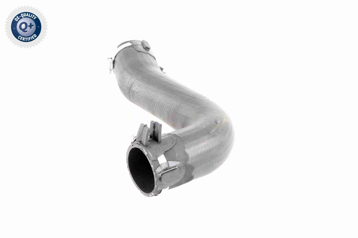 Charge Air Hose - V42-0584