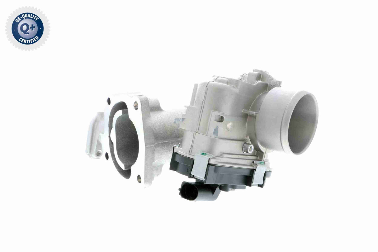 Throttle Body - V24-81-0010