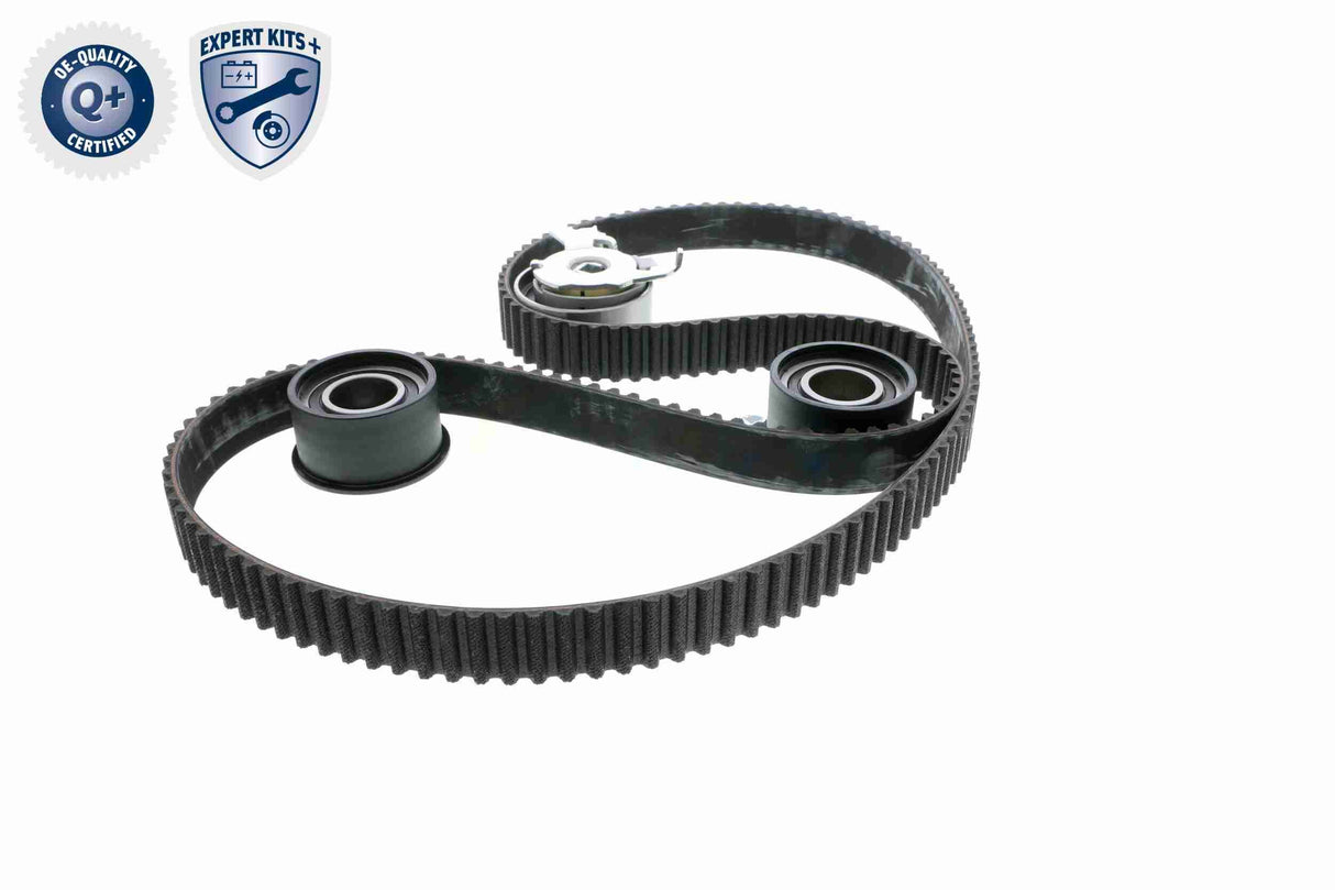 Timing Belt Kit - V40-0629
