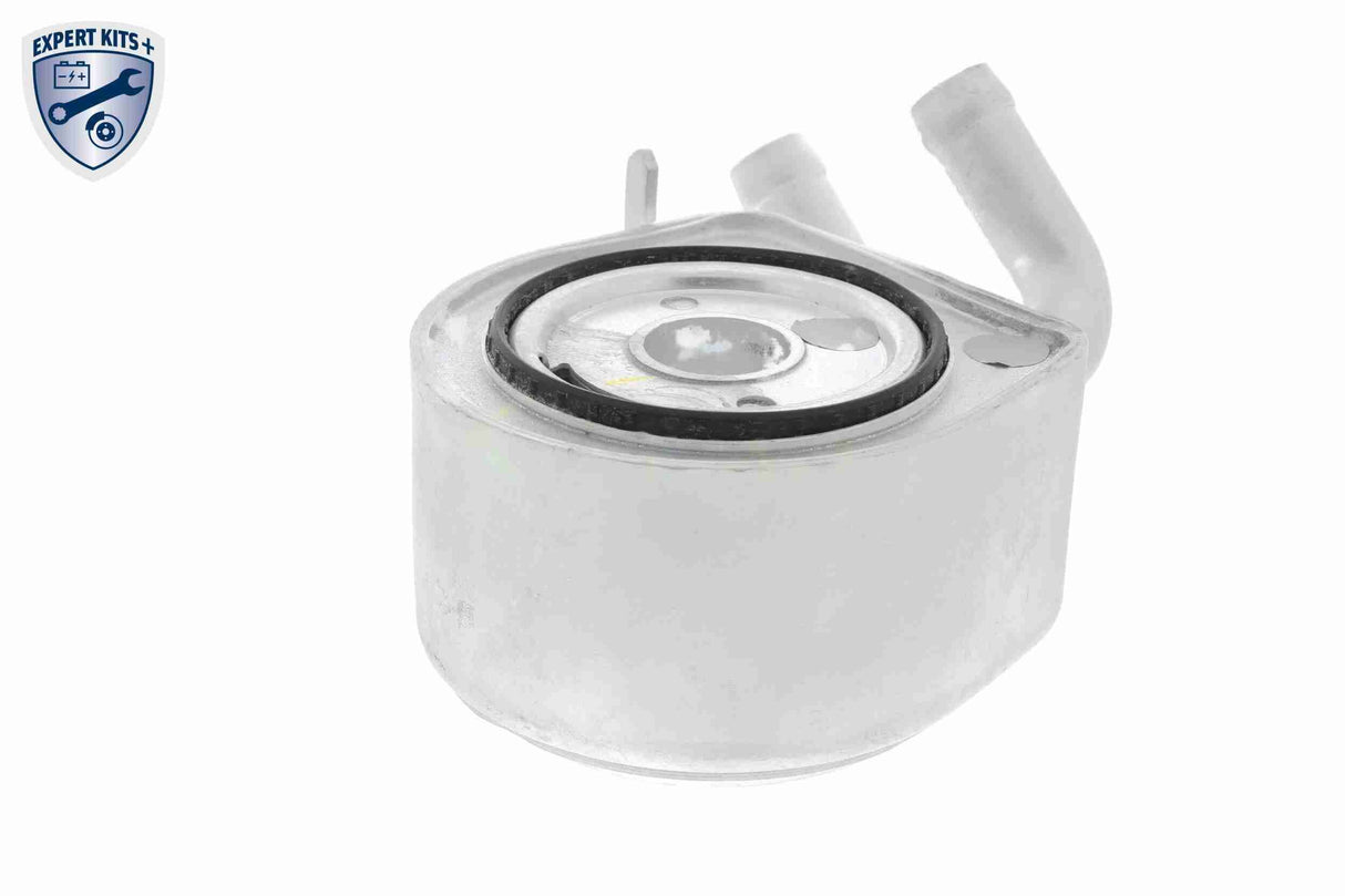 Oil Cooler, engine oil - V25-60-0035